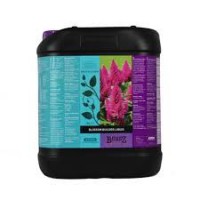 Blossom Builder 5L